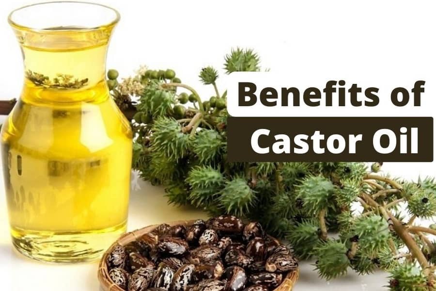 Exploring the Benefits of Organic Castor Oil